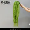 Plantas Verdes, Hierba de Junco, Hierba Bigote de Dragón, Fondo de Boda, Paisajismo de Ventana Floral, Flores Decorativas para Boda en Bosque Blanco y Verde