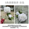 2026 Nuevo Modelo Flores Artificiales Blancas Fabricante Comercio Exterior Rosas Blancas Hortensias Peonías Decoración de Bodas Flores Falsas Mayoreo