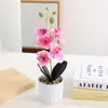 Nuevo Bonsái de Phalaenopsis Cilíndrico de Cinco Cabezas Fotografía Foto Arreglo Flor Artificial en Maceta Decoración Hogar Sala de Estar Artificial