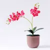 Decoración de flores artificiales Phalaenopsis al por mayor para el hogar y la sala de estar, adornos de flores falsas, flores en maceta, regalos exquisitos, flores artificiales