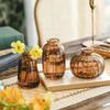 Vaso de Vidro Atacado Flores Frescas Simples Flores Secas Flores em Vasos Rosas Enfeites de Sala de Estar Decoração Ins Pequeno Vaso em Relevo