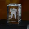 Gravação a Laser em Cristal de Coração Humano, Cérebro, Fígado, Vesícula Biliar, Esqueleto e Dente Modelos Ornaments Lembranças Hospitalares