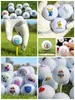 Pelotas de Golf Pgm Pelotas Nuevas en Blanco Pelotas de Doble Capa Pelotas de Tres Capas Impresión UV Sin Costo Diseño de Logo
