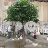 Cinta de plástico reforzado con fibra de vidrio y resina Árbol de Banyan Hoja de árbol dorado Árbol de la abundancia Planta verde grande Árbol de los deseos Árbol del paisaje del jardín del centro comercial