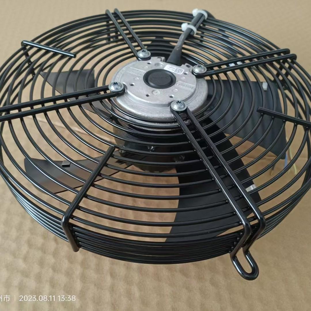 2024-11-06 11:18:18.jpg