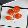 Folhas Simuladas com Cores Ricas, Novas Folhas de Bordo para Fotografia, Adereços de Decoração para Casamentos ao Ar Livre, Artesanato Atacado de Folhas Artificiais