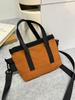 Bolso de Mano Mini Simple de Color Sólido Transfronterizo 2025 Nuevo Versátil Elegante Moderno Casual Hombro Cruzado