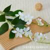 Flor artificial simulação 2 ramos buquê de jasmim sala de estar decoração de casa mesa de jantar decorações de flores luxo leve pendurado jasmim de seda