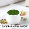 Atacado de fábrica de bonsais, vasos de plástico para flores, plantas suculentas, plantas verdes de cerâmica para mesa, conjuntos de vasos de flores M