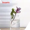 Estructura de Soporte para Plantas Hidropónicas Suministros de Jardinería Soporte para Flores de Interior Estructura Ligera de Soporte para el Cuidado de Plantas