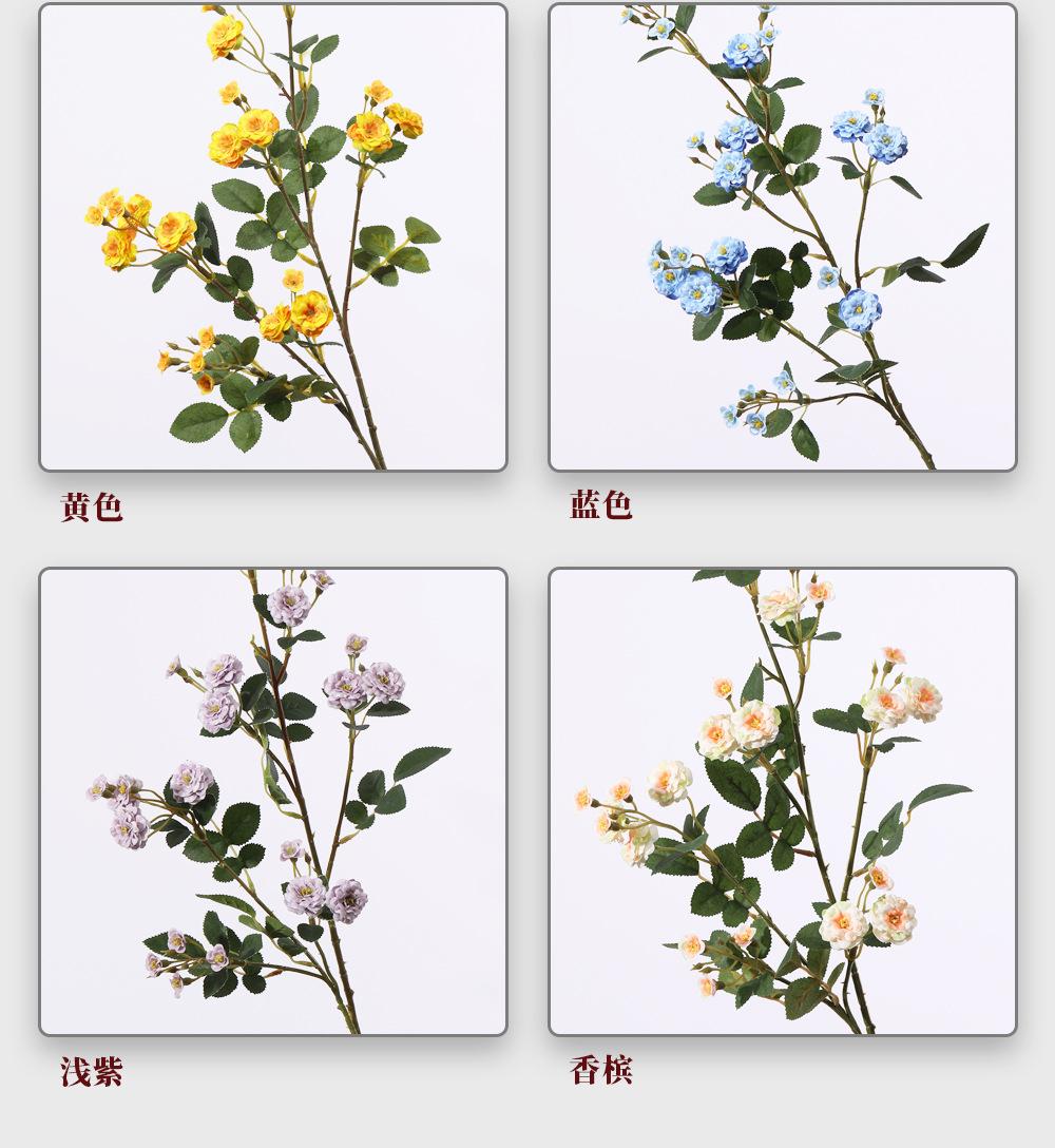 工厂描述_06.jpg