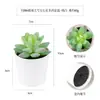 Más de 100 Tipos de Combinaciones de Plantas Suculentas Mini de Plástico Simuladas en Maceta, Mini Bonsáis Suculentos Más Vendidos Transfronterizos, Decoración para el Hogar, Adornos Creativos