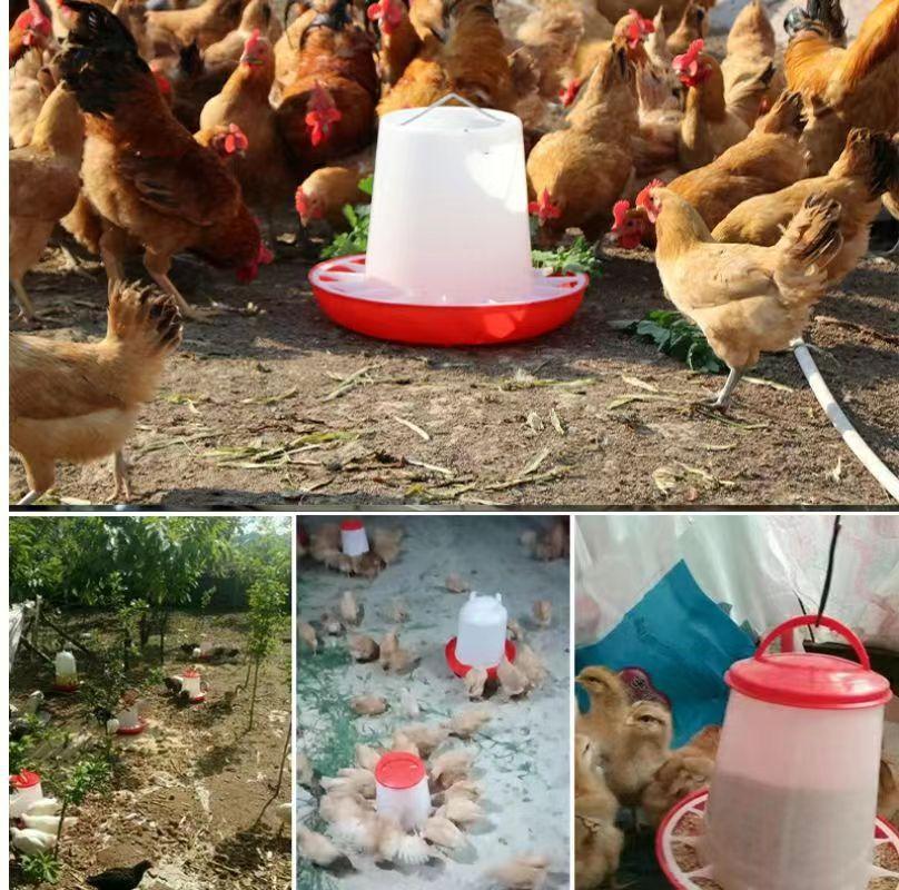 微信图片_20240102144225