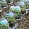 Cubierta de plástico PVC transparente para plántulas, invernadero, jardinería, plantación de hortalizas, aislamiento, cubierta para plántulas, suministro de fábrica