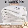 Colcha de algodón de Xinjiang Clase A, colcha de invierno gruesa de algodón puro, colcha de primavera y otoño, núcleo de colcha 100% algodón, ropa de cama para dormitorio de estudiante, colcha de algodón
