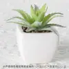 Maceta combinada de bonsái de cerámica con suculentas simuladas personalizadas, adornos de plantas verdes, decoración de oficina, escritorio, hogar, plantas verdes en maceta