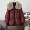 Nova temporada 2026 jaqueta feminina curta de moda estilo coreano de algodão solta com gola de pelo oversized e acolchoamento espesso