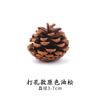 Cordão Transfronteiriço Pinha com Cravo Cravo de Pinha Decoração Pendente de Árvore de Natal Decoração Perfurada Material DIY Atacado