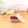 Caja Conservadora de Frescura para Refrigerador Grado Alimenticio Sellada Apta para Microondas Lonchera Caja para Frutas para Llevar Bento Caja de Almacenamiento de Alimentos