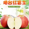 Selección PremiumManzanas Fuji Rojas de Yantai, Shandong, Fruta Fresca de Temporada con Corazón de Azúcar Crujiente y Dulce, Disponible para Entrega Directa 5/ 4.5 kg