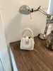 Bolsa de balde texturizada para comércio exterior transfronteiriço para mulheres, 26 novos modelos, bolsa de mão de moda casual com alta estética, bolsa versátil de ombro e transversal