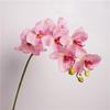 Flor Artificial Sensação Orquídea Cola Macia 9 Phalaenopsis Casa Decoração de Flores Decoração Janela Paisagem Casamento Flor Arte