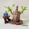 Uma geração de florescimento sortudo com botões Brasil Mubatan vaso de madeira Groot plantado sala de estar planta hidropônica