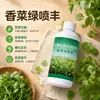 Cilantro Hoja Verde Seco Marchito Hinchazón Agente Un Spray Resistencia Enfermedad Verde Antibacteriano Hoja Amarilla Mancha Negra Fertilizante Foliar Árbol Frutal Verdura Rey Aumento de Rendimiento