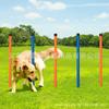 Obstáculo de Treinamento para Cães Círculo de Treinamento para Animais de Estimação Barra de Salto para Treinamento de Cães Equipamento de Treinamento para Cães Cruzamento Amarrado