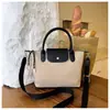Bolso bandolera versátil para uso diario para mujer, gran capacidad, otoño 2026, estilo minimalista coreano, pequeño y único, adecuado para ir al trabajo