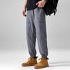 Verano Nueva Llegada Pantalones de Nylon Hielo Pies Estilo Hong Kong Sueltos Deportivos Casuales Pantalones Finos Pantalones Arrugados