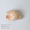 Cuentas Cerámicas de Caracola de Alta Temperatura Material Hecho a Mano Accesorios para Pulseras Cuentas de Horno Pulsera de Cuentas Sueltas DIY Accesorios para Collares