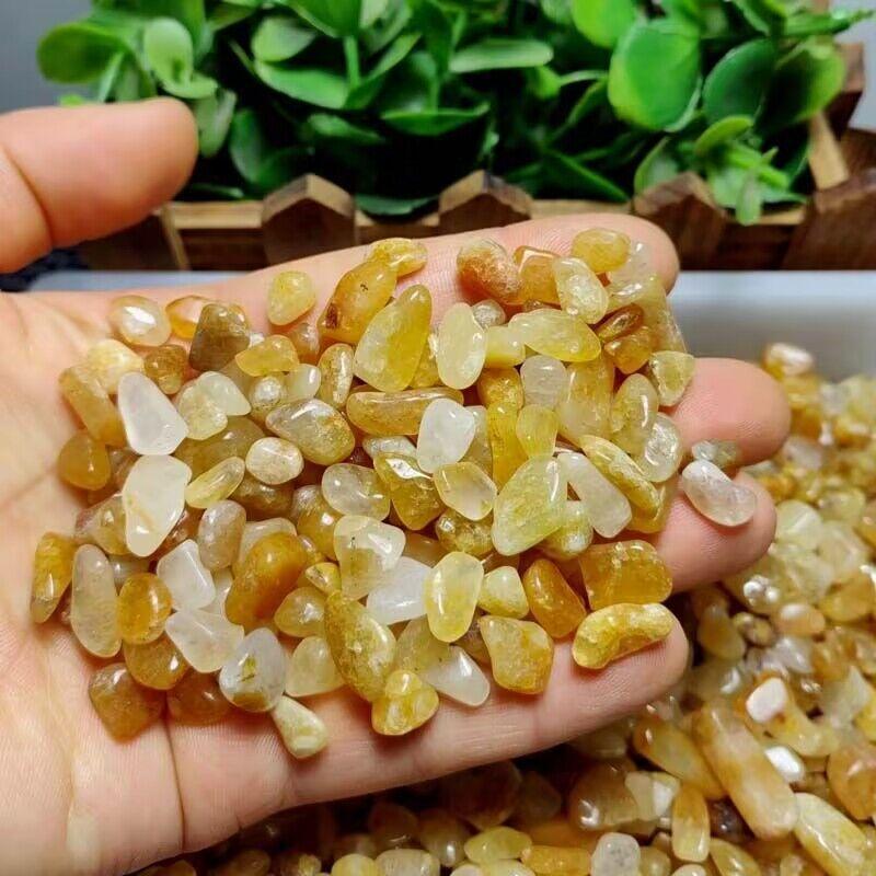 QQ图片20240719124642