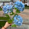Flores de simulação para casa de alta qualidade fabricantes de comércio exterior 3 toque de cola macia madeira hortênsia verde decoração de casamento flores artificiais atacado