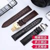 Correa de Cuero de Cocodrilo Americano Accesorios Patrón Redondo Pulsera de Cuero Hebilla Mariposa de Doble Presión Correa de Una Pieza Galvanoplastia Capilar