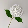 Alta simulación gran hortensia profundidad múltiples colores para hacer pared de propuesta más realista verano sin fin hortensia impresión 3D