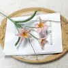 Amaryllis Fabricante Fonte Fio Crochê Feito à Mão Buquê de Flores Produto Acabado Flores de Crochê Flores Artificiais Decoração de Casa Atacado