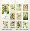 Papel Material Poesía de Azúcar: Serie Todas las Cosas Viven, Material Decorativo para Diario Estilo Vintage Rasgado, 30 Hojas, 6 Diseños