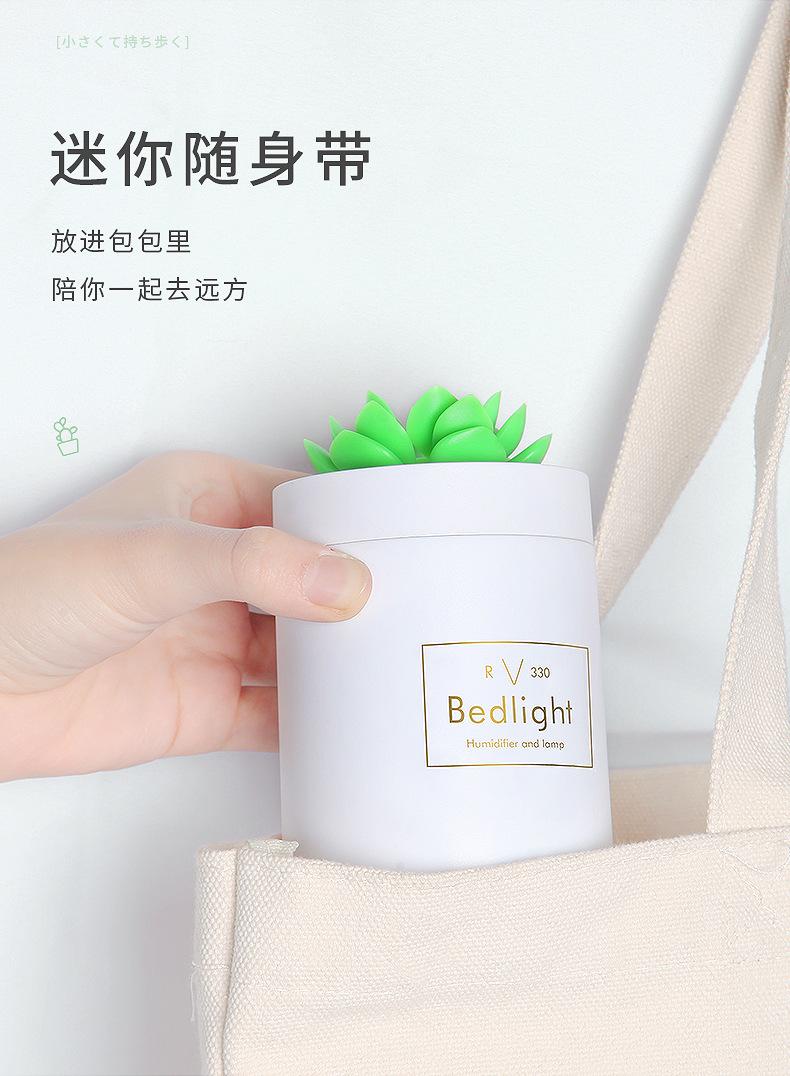 多肉加湿器_13.jpg