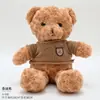 Celebridade da Internet Urso Morango Abraço Balde Boneco de Pelúcia Presente de Aniversário Buquê de Flores Artesanal Material de Embalagem Urso de Abraço