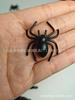 Accesorios de Decoración de Halloween Araña Lápida Fantasma Muerte Cráneo Gato Negro Murciélago Transfronterizo Juguetes de Truco