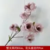 Nuevo Fondo Rosa de Flores Falsas para Boda Fila de Flores Artificiales Material de Flores para Boda Decoración de Techo de Auditorio Banquete Flor de Seda
