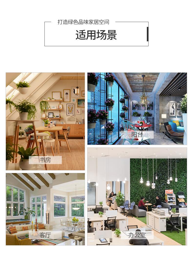 详情_06.jpg