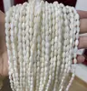 Jingdian Jewelry Contas Soltas Naturais de Concha de Formato Irregular Coração Trevo de Quatro Folhas Link de Bambu Redondo Acessórios para Pulseira de Concha