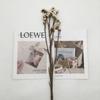 DIY Flor Eterna Nomeolvides Flor Seca Venta al por Mayor Decoración para el Hogar Flor Preservada Apto Regalo de San Valentín Accesorios para Boda