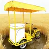 Triciclo Solar a Pedal para Sorvete de 108L Pode Vender Frutas, Sucos, Sorvetes e Picolés; Carrinho de Venda Comercial