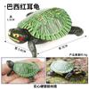 Ornamentos Cognitivos de Simulação Infantil Anfíbio Réptil Tartaruga Tartaruga Chinesa Tartaruga Brasileira Modelo de Tartaruga Crocodilo Real Brinquedo