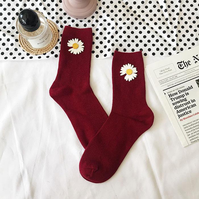 IMG_5392(20191229-232121)