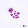 Arte de Uñas Estilo Japonés Flor de Crisantemo Pequeña en Relieve Paquete de Flores en Relieve Materiales de Flores Secas Materiales de Flores Naturales DIY