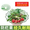Bandeja de Soporte para Fresas Suministros de Jardinería Hogar Balcón Plantación Girasol Plántulas en Maceta Marco de Soporte para Frutas Anti-Pudrición